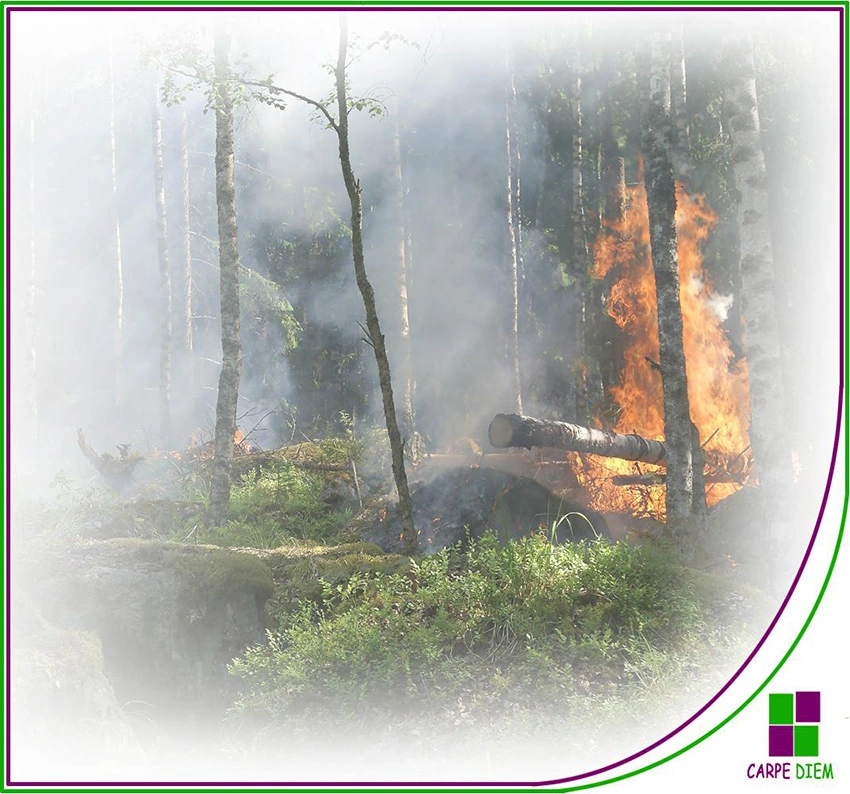 Prevención y Tratamiento de Incendios forestales