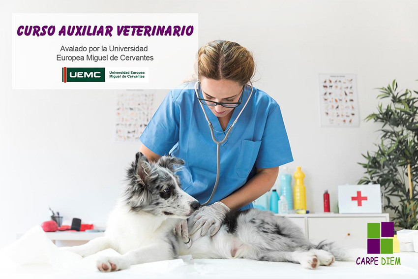 Acreditación de Auxiliar Veterinaria