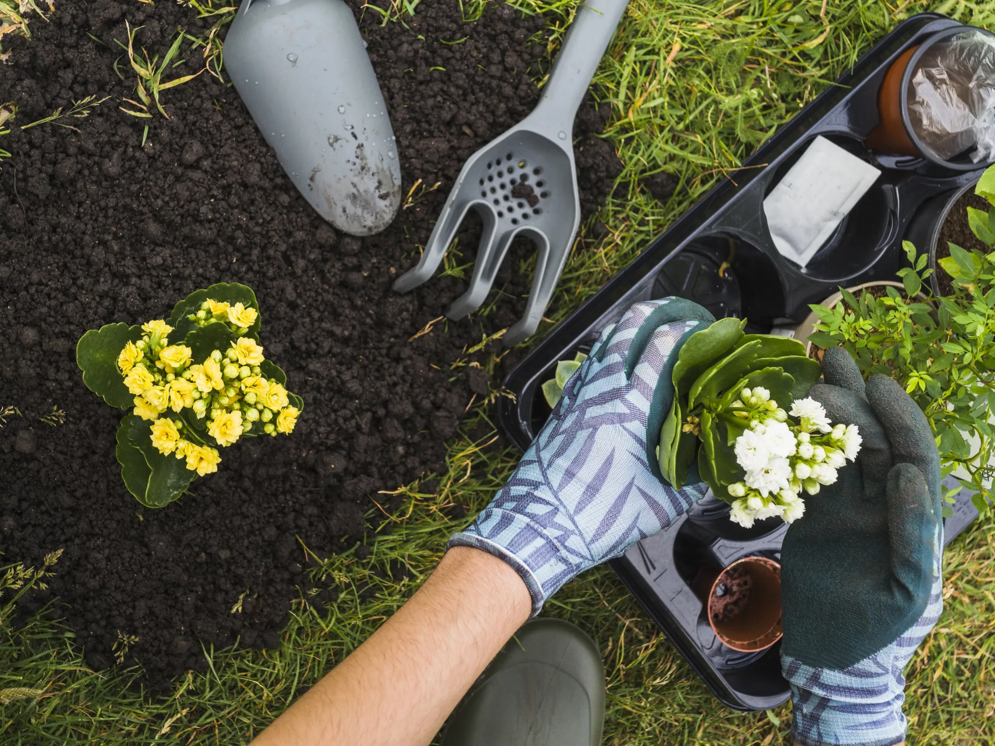 Cómo empezar en jardinería desde cero