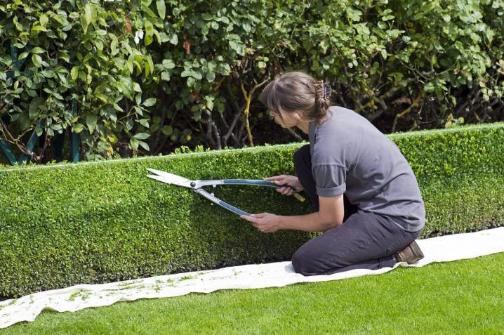 Cursos de jardinería