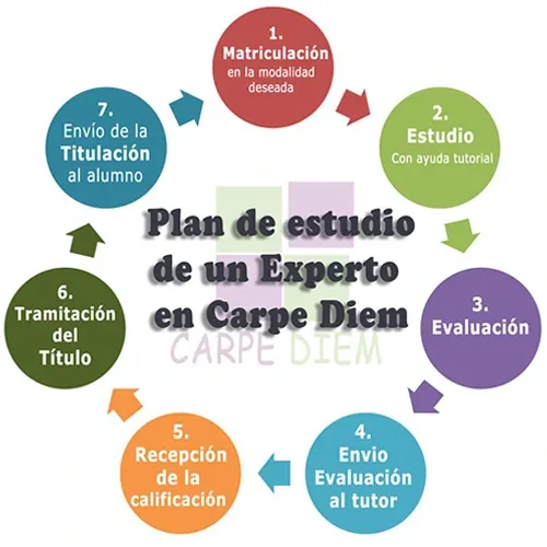 Curso online administracion