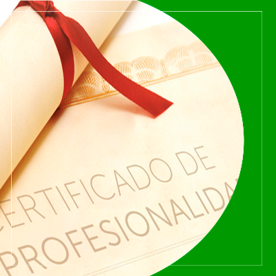 Certificados de profesionalidad