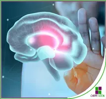 Curso Neuroeducación