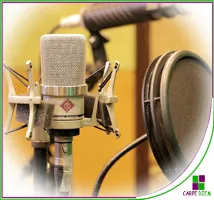 Curso Doblaje de voz para animación