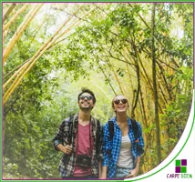 Curso Turismo sostenible y ecoturismo
