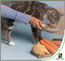Curso Nutrición y dietética animal