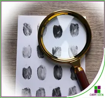 Curso Lingüística forense