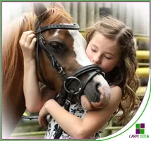 Curso Terapia asistida con animales