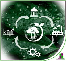 Curso Economía circular y sostenibilidad