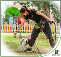 Curso Adiestramiento canino
