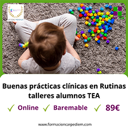 Curso Rutinas y talleres para alumnos con TEA