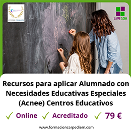 Curso Alumnado con Necesidades Educativas Especiales (Acnee) en Centros Educativos 