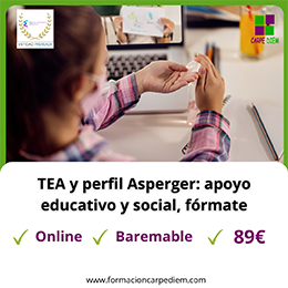 Curso TEA: Perfil Asperger, apoyo educativo y social