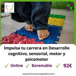 Curso Desarrollo cognitivo, sensorial, motor y psicomotor en la infancia
