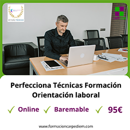 Curso Técnicas de Formación y Orientación laboral