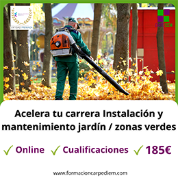 Instalación y mantenimiento de jardines y zonas verdes Cualificación Profesional