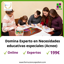 Experto en Necesidades Educativas Especiales (ACNEE)