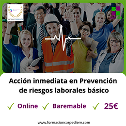 Curso Prevención de riesgos laborales básico