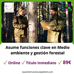 Curso Medio ambiente y gestión forestal