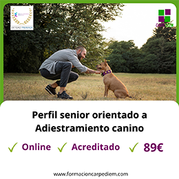 Curso Adiestramiento canino