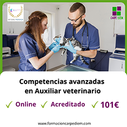 Curso Auxiliar veterinario