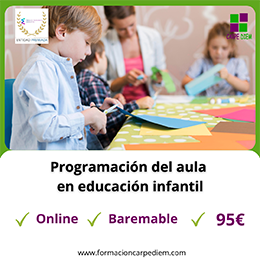 Curso Programación del aula en educación infantil