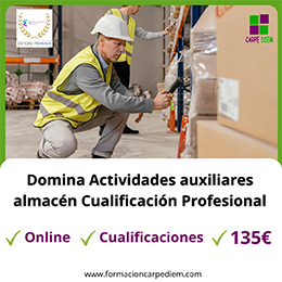Actividades auxiliares de almacén Cualificación Profesional