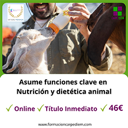 Curso Nutrición y dietética animal