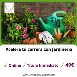 Curso Jardinería