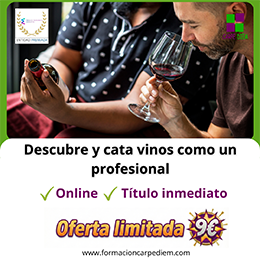 Curso Cata de vinos
