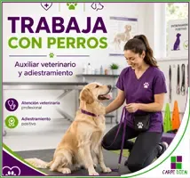Trabaja con Perros: Auxiliar Veterinario y Adiestramiento Pack