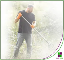 Curso Instalación y mantenimiento de jardines y zonas verdes Cualificación Profesional